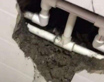 易县卫生间漏水哪家好
