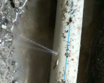 易县卫生间测漏水多少钱